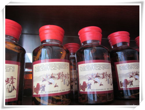 蘭溪嘉行養(yǎng)生酒 精品酒類批發(fā)優(yōu)選，輔仁路優(yōu)質(zhì)供應商